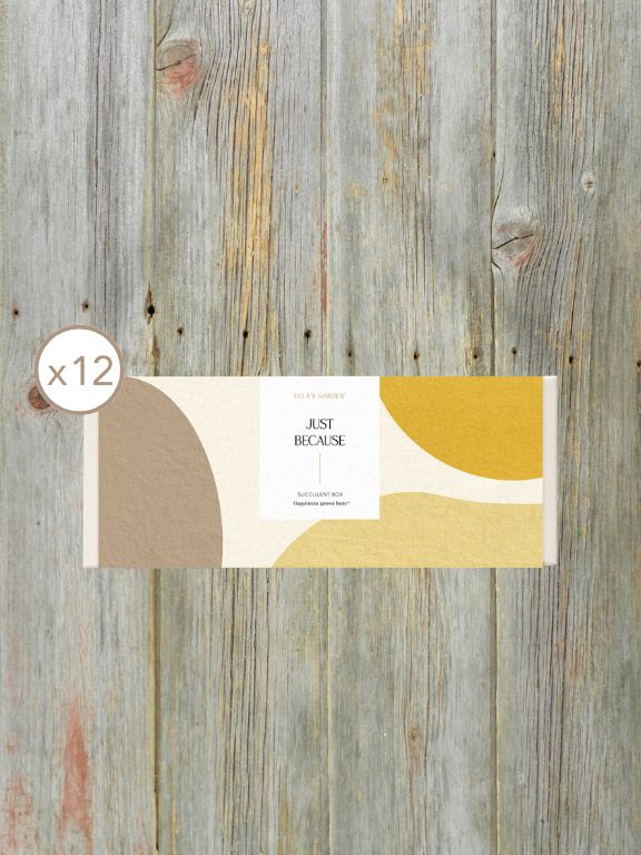 LULAS GARDEN JEWEL SLEEVE - JUST BECAUSE